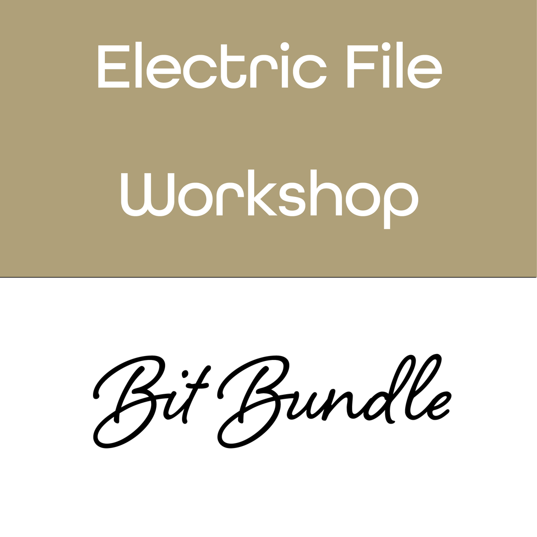 eFile Level 1 - Bit Bundle